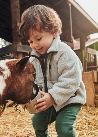 Κανένα σετ εικόνων 